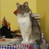 Отзыв от Анжелика Ильинская